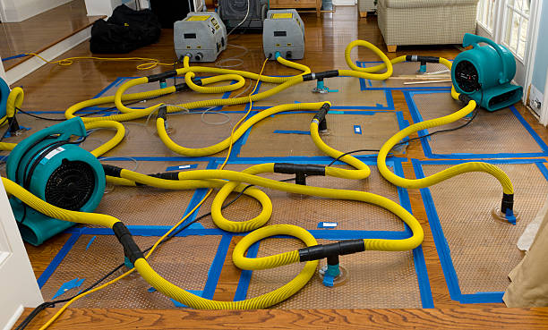Professional Storm Water Damage Restoration technician working in Charleston, AR